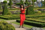 Trisha New Gallery - 47 of 175