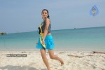 Trisha New Gallery - 49 of 175