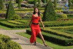 Trisha New Gallery - 53 of 175