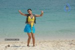 Trisha New Gallery - 59 of 175
