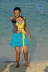 Trisha New Gallery - 63 of 175