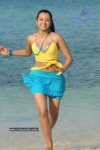 Trisha New Gallery - 75 of 175