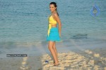 Trisha New Gallery - 77 of 175