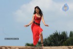 Trisha New Gallery - 82 of 175