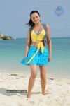 Trisha New Gallery - 86 of 175