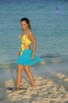 Trisha New Gallery - 87 of 175