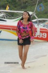Trisha New Gallery - 88 of 175