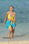 Trisha New Gallery - 90 of 175