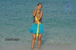 Trisha New Gallery - 93 of 175