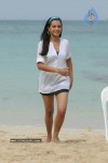 Trisha New Gallery - 95 of 175