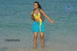 Trisha New Gallery - 97 of 175