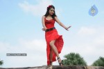Trisha New Gallery - 98 of 175