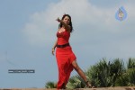 Trisha New Gallery - 99 of 175