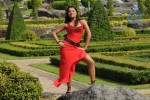 Trisha New Gallery - 104 of 175