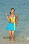 Trisha New Gallery - 111 of 175