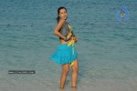 Trisha New Gallery - 112 of 175