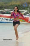 Trisha New Gallery - 113 of 175