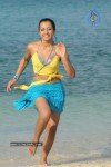 Trisha New Gallery - 115 of 175