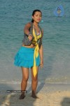Trisha New Gallery - 116 of 175