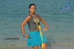 Trisha New Gallery - 118 of 175