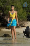 Trisha New Gallery - 121 of 175
