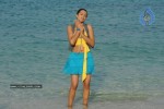 Trisha New Gallery - 124 of 175