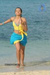 Trisha New Gallery - 128 of 175