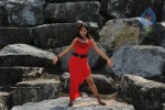 Trisha New Gallery - 132 of 175