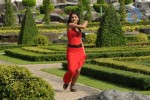 Trisha New Gallery - 134 of 175