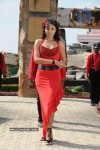 Trisha New Gallery - 135 of 175