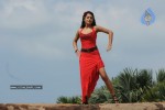 Trisha New Gallery - 138 of 175