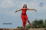 Trisha New Gallery - 139 of 175