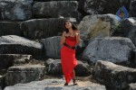 Trisha New Gallery - 141 of 175