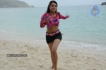 Trisha New Gallery - 143 of 175