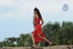 Trisha New Gallery - 144 of 175