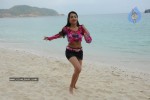 Trisha New Gallery - 146 of 175