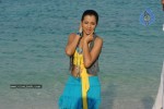 Trisha New Gallery - 148 of 175