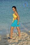 Trisha New Gallery - 151 of 175