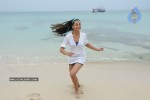 Trisha New Gallery - 153 of 175