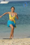 Trisha New Gallery - 155 of 175