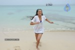 Trisha New Gallery - 158 of 175