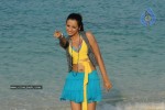 Trisha New Gallery - 160 of 175