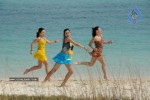 Trisha New Gallery - 162 of 175