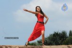 Trisha New Gallery - 165 of 175