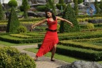 Trisha New Gallery - 171 of 175