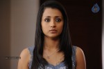 Trisha New Gallery - 14 of 65