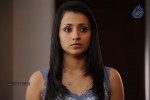 Trisha New Gallery - 17 of 65