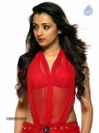Trisha New Gallery - 21 of 65