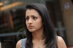 Trisha New Gallery - 49 of 65