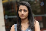 Trisha New Gallery - 64 of 65